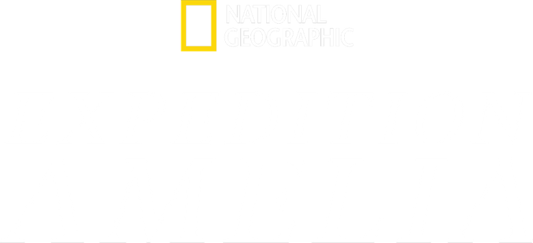 Expedition Amelia