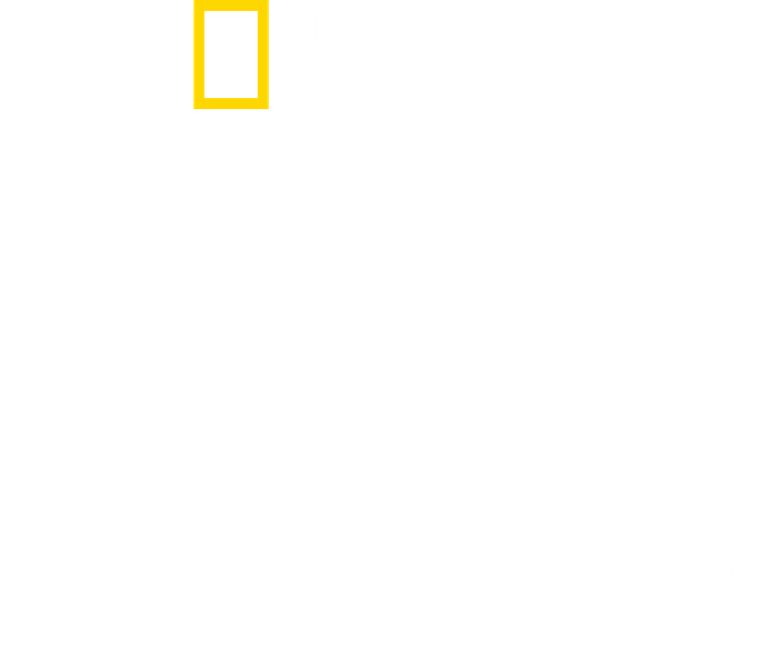 Dra. T: Clínica de Animais Exóticos logo