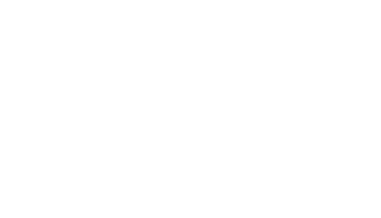 Agatha and the Midnight Murders logo