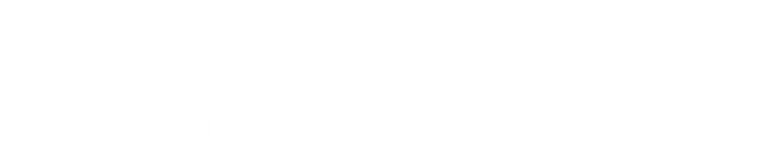 Love with Flaws logo