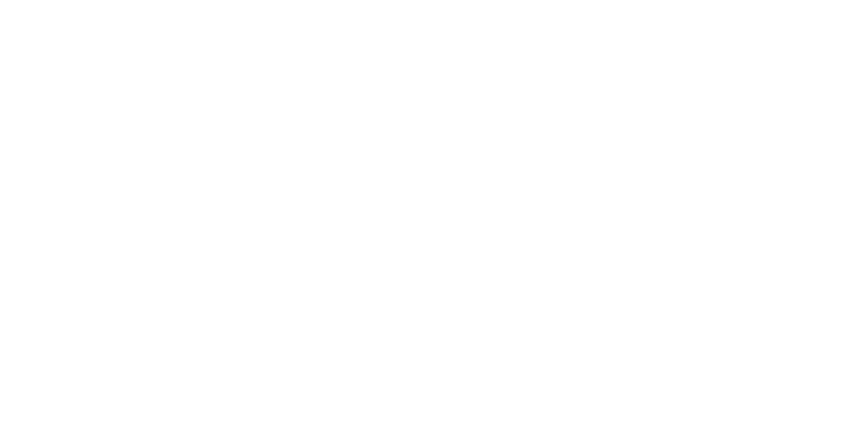 闪光少女 logo