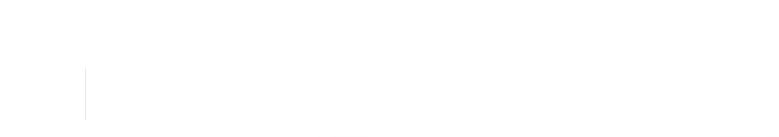 TSUNAMI -ツナミ- logo