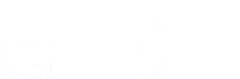 Stand by for Action logo