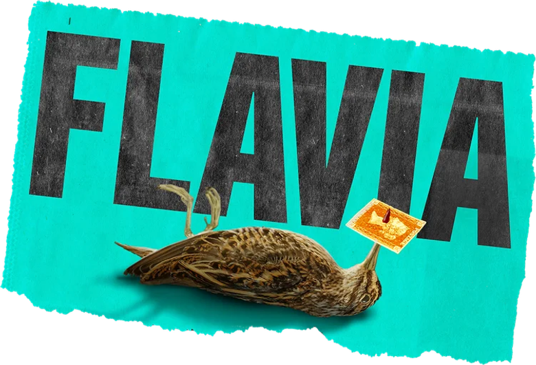 Flavia logo