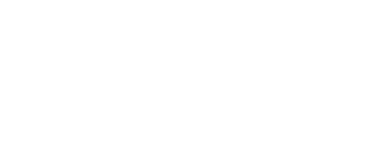 A More or Less Perfect Union