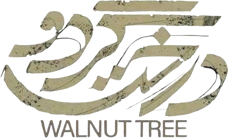 Walnut Tree