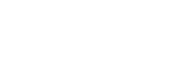 Power Book IV: Force logo