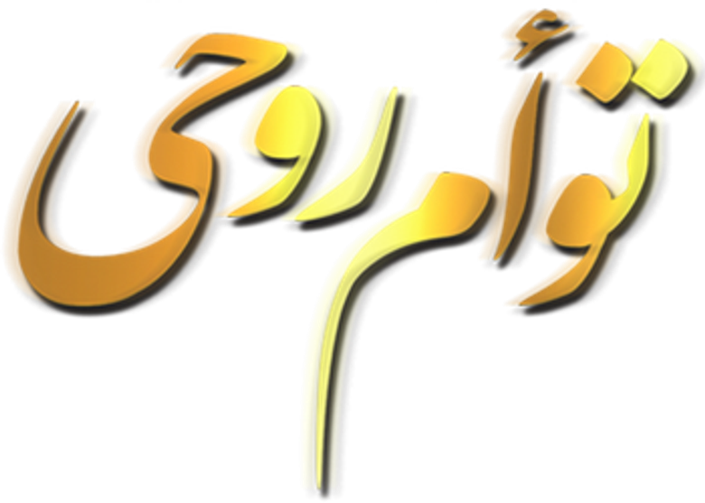توأم روحي logo