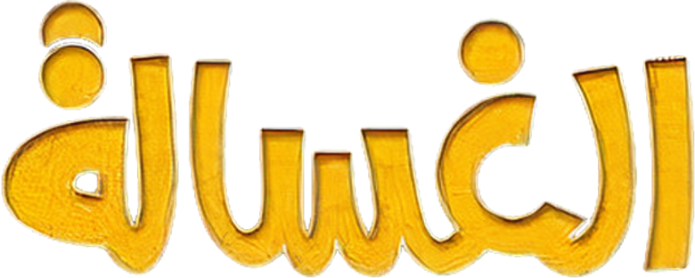 الغسالة logo