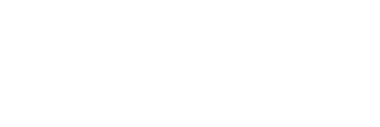 鬓边不是海棠红 logo