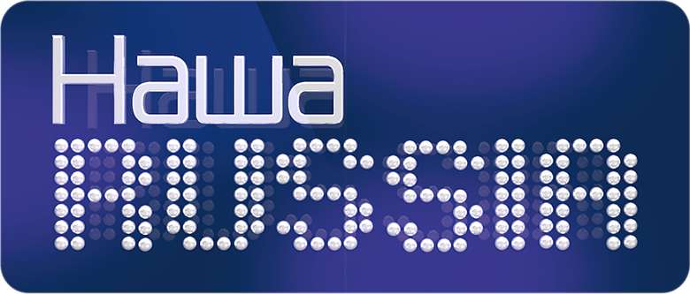Наша Russia logo
