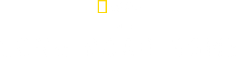 The Long Road Home logo