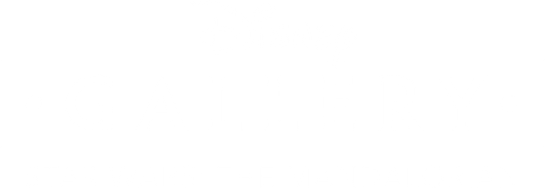 Disney Gallery / Star Wars: The Mandalorian logo