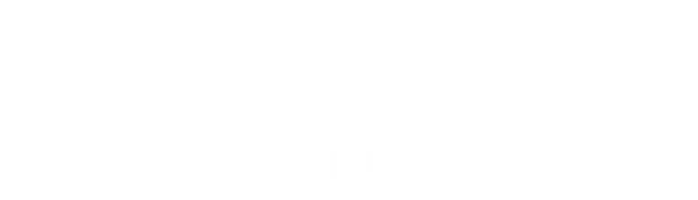 ノートルダム 炎の大聖堂 logo