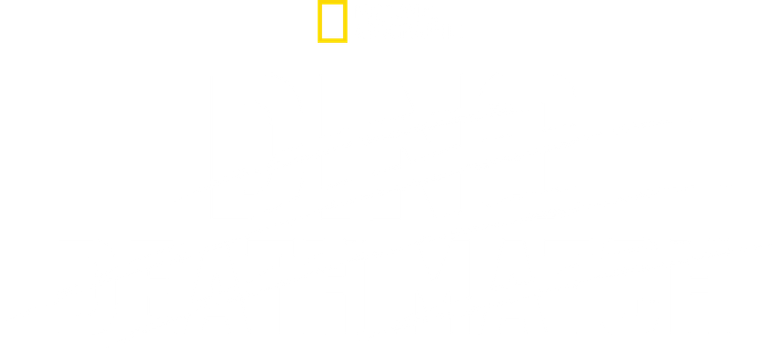 Dino Death Match