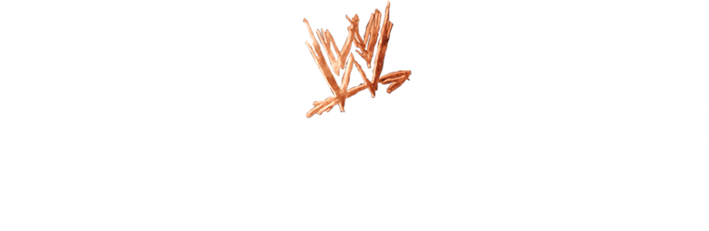 WWE One Night Stand 2008 logo