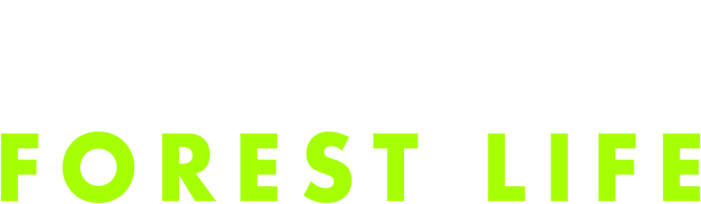 Wild City logo