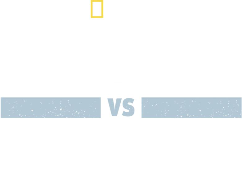 Shark Vs. Whale logo