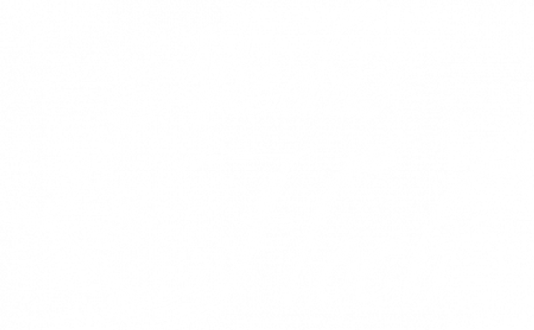 Nicolas Le Floch logo