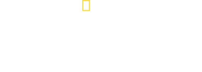 Sharks of the Bermuda Triangle