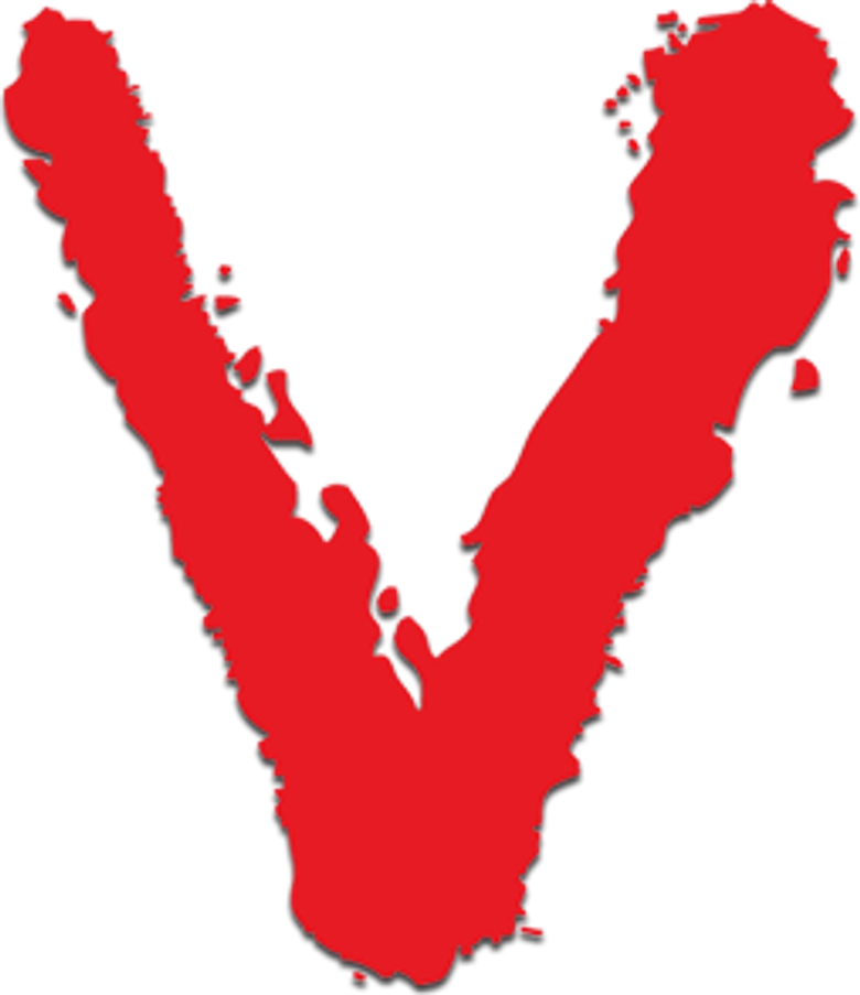 V - Visitantes logo