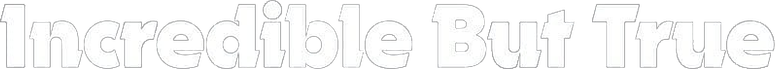 Incrível, Mas é Verdade logo