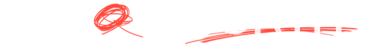 So Not Worth It logo