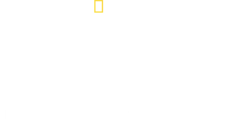 Sharks vs. Dolphins: Blood Battle logo