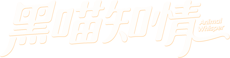 黑喵知情 logo
