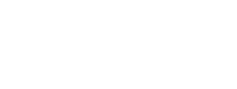 Fisk logo