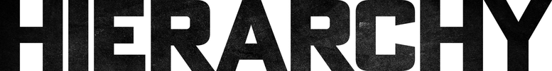 Hierarchy logo