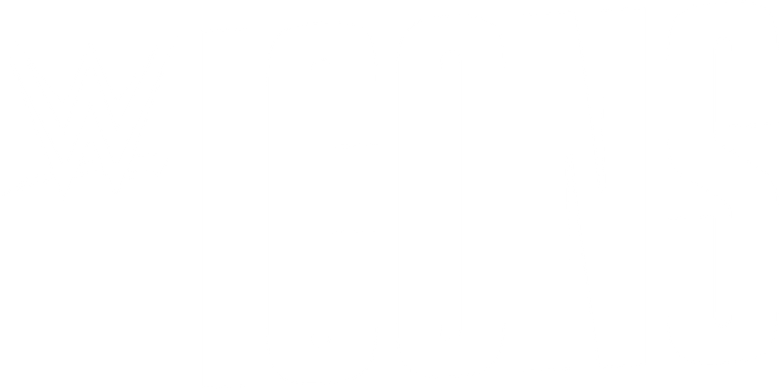 WWE Icons logo