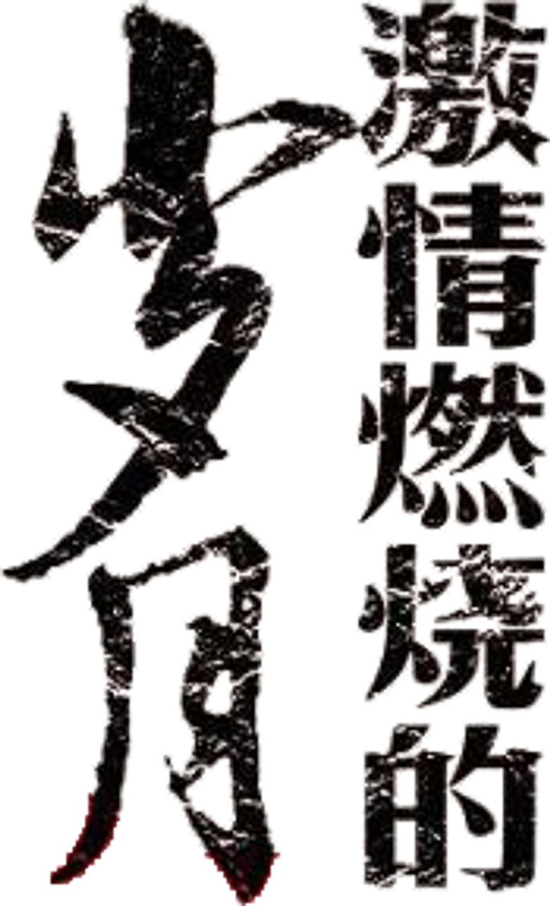 激情燃烧的岁月 logo