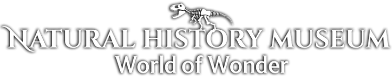 Natural History Museum: World of Wonder logo