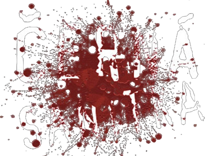 Černá sanitka