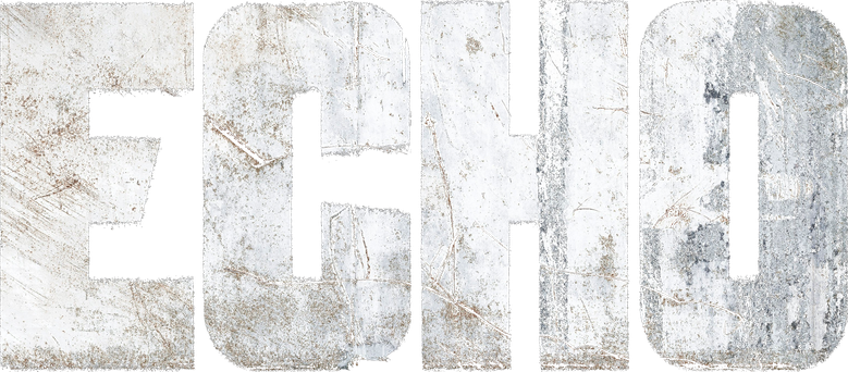 Echo logo