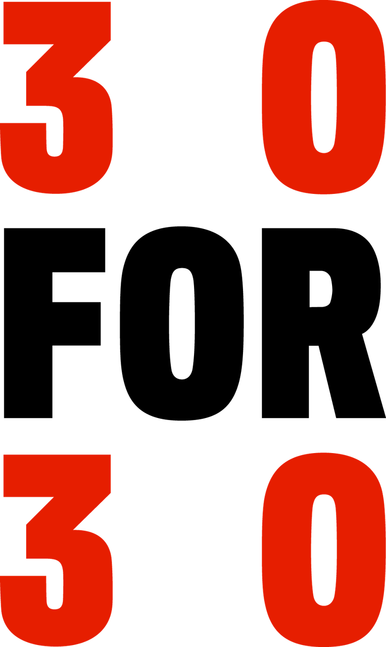 30 for 30 logo