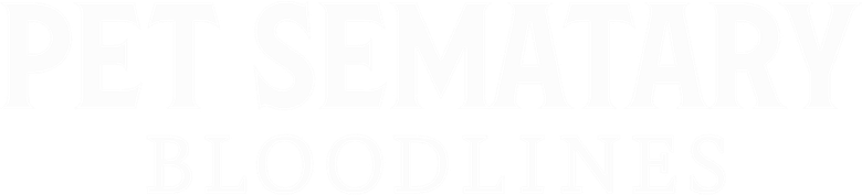Cemitério Maldito - A Origem logo