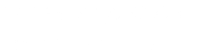 Bulgasal: Almas Imortais logo