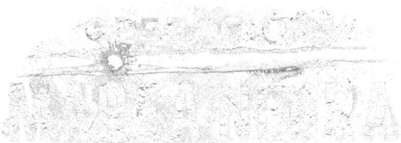 Operação Maré Negra logo