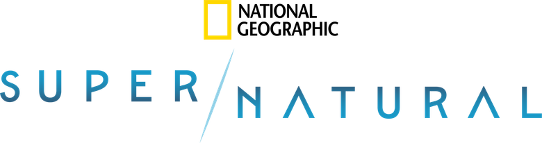 Super/Natural logo