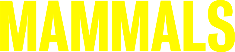 Vida de Casal logo