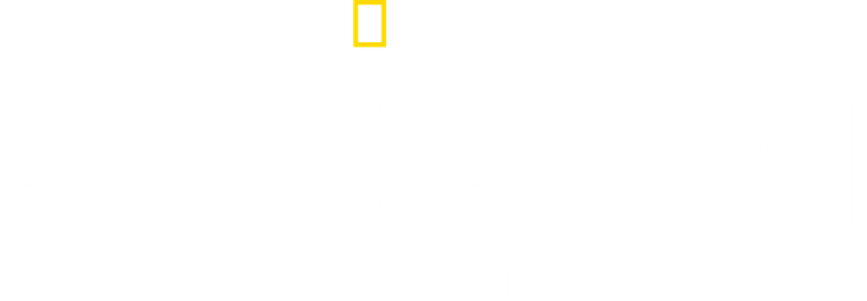 Arctic Ascent with Alex Honnold