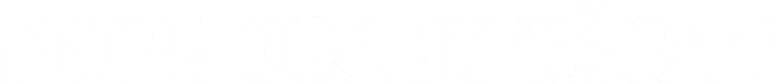 Pohjoisen tähti logo