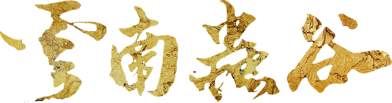 鬼吹灯之云南虫谷 logo