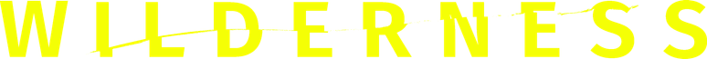 Turismo Selvagem logo