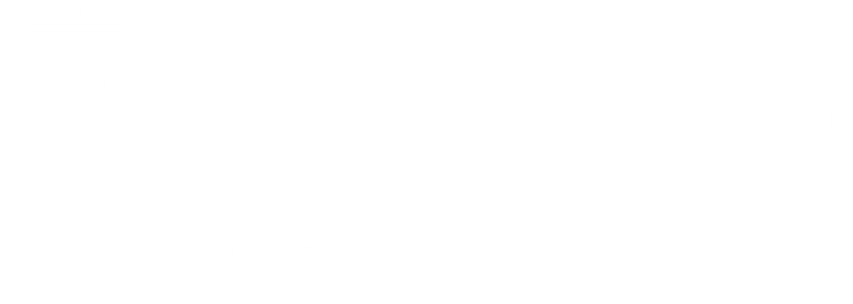 The Millionaire Detective logo