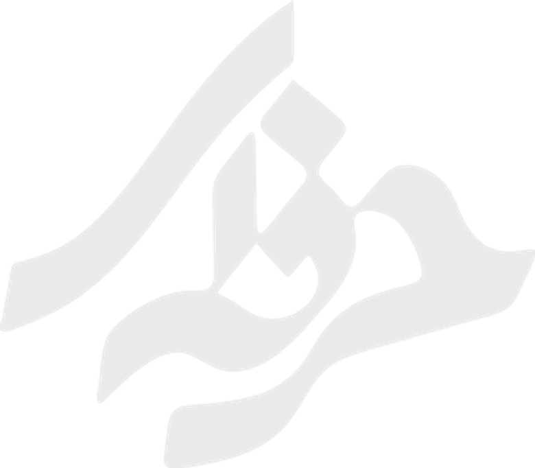 حرفه‌ای logo