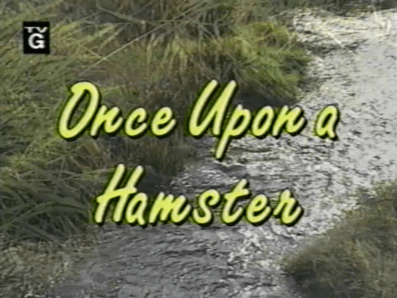 Once Upon a Hamster