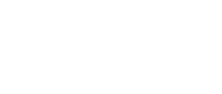 キャッチ！ティニピン logo